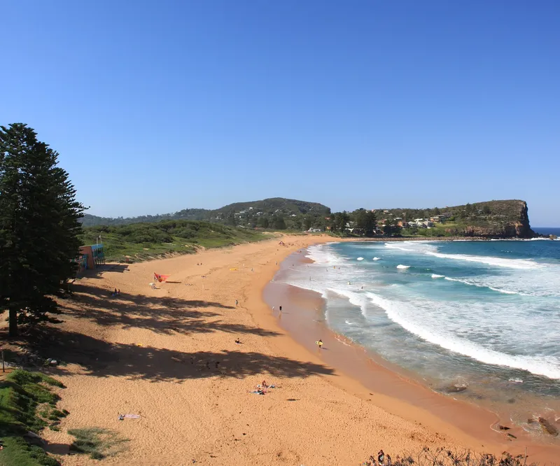Avalon Beach on Sydney's Northern Beaches: a curve of golden sand, surf and a green headland under a blue sky